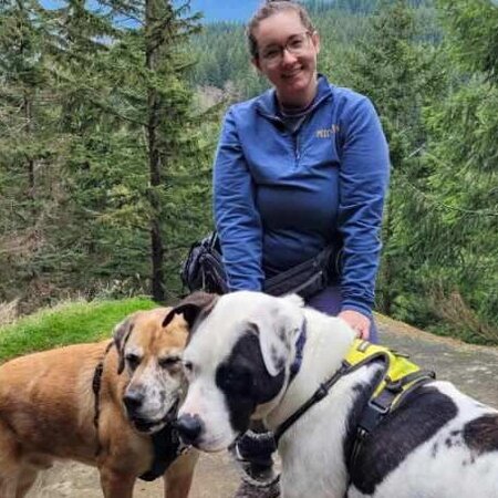 Sitter Needed For 2 Dogs In Anacortes