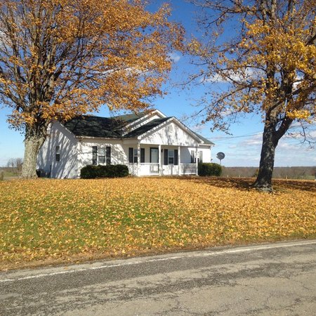 Looking For A Pet Sitter For 3 Horses In Bloomfield