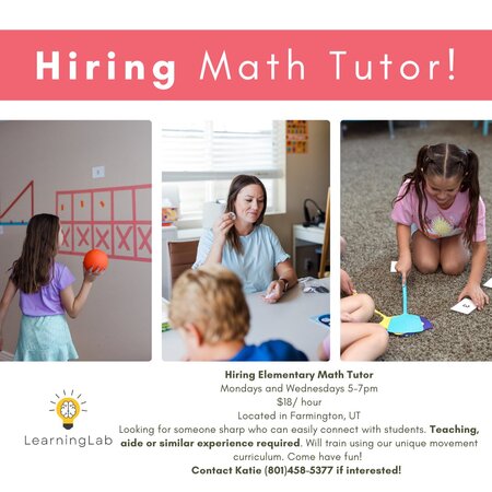 Looking For A Math Tutor 2 Days Per Week 9am-3pm