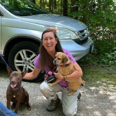 House Sitter For 2 Sweet Dogs April 24-27, & May 23-26: Westbrook