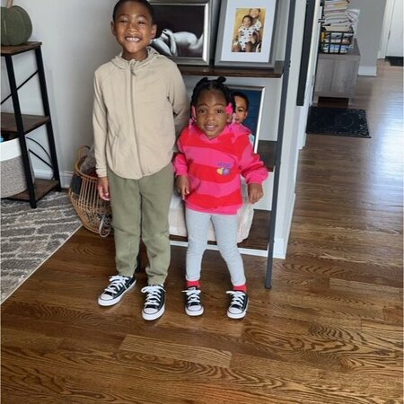 Nanny Needed For 2 Children In Chicago Heights