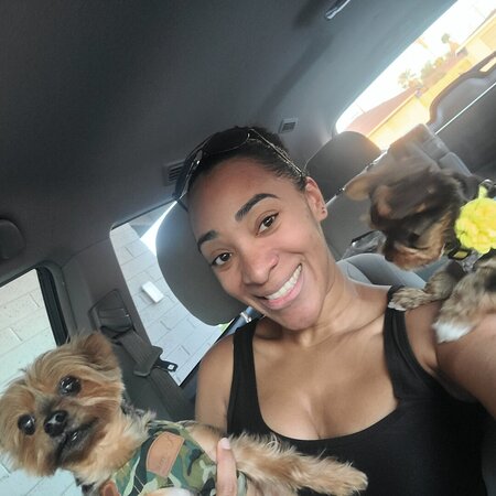 Looking For A Pet Sitter For 2 Dogs In Phoenix