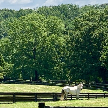 Work On Farm With Many Animals W/ Busy 5yo Boy That Wants To Be Outside 24/7. PM Help But Some Less