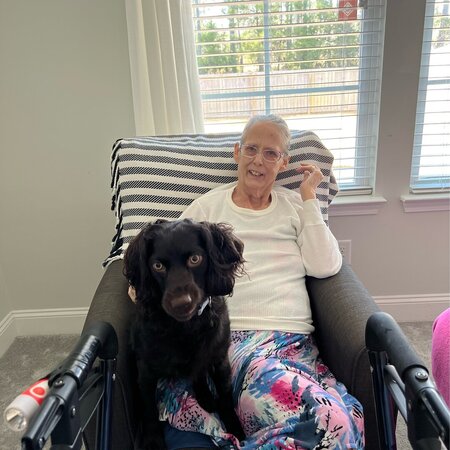 Morning Drop In Care (8am-10am) For Sweet Lady (dementia)  With Annoying Dog.