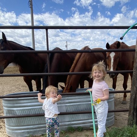 Looking For A Dependable House Cleaner For Family Living In Fort Laramie.