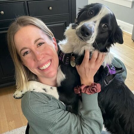 Pet Care Job in Denver, CO 80218 - Sitter Needed For 1 Dog In Denver - Care.com